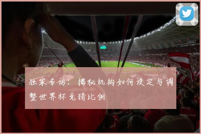 独家专访：揭秘机构如何设定与调整世界杯竞猜比例