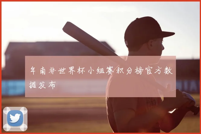 年南非世界杯小组赛积分榜官方数据发布