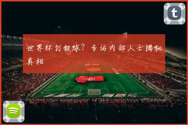 世界杯打假球?专访内部人士揭秘真相