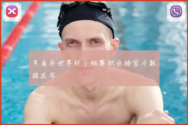 年南非世界杯小组赛积分榜官方数据发布