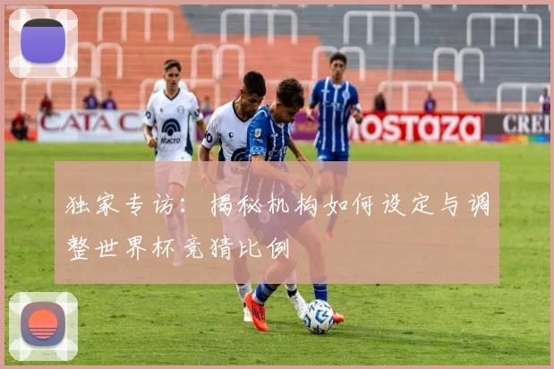 独家专访：揭秘机构如何设定与调整世界杯竞猜比例