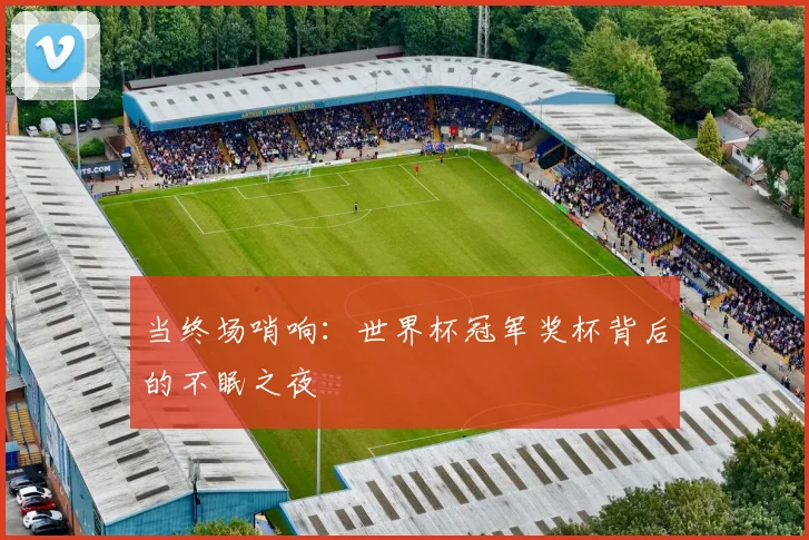 当终场哨响：世界杯冠军奖杯背后的不眠之夜